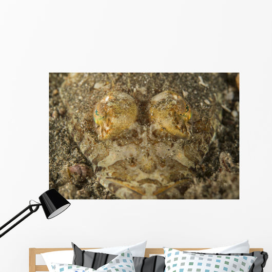 Head Crocodilefish with Frilly Wall Decal
