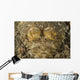 Head Crocodilefish with Frilly Wall Decal