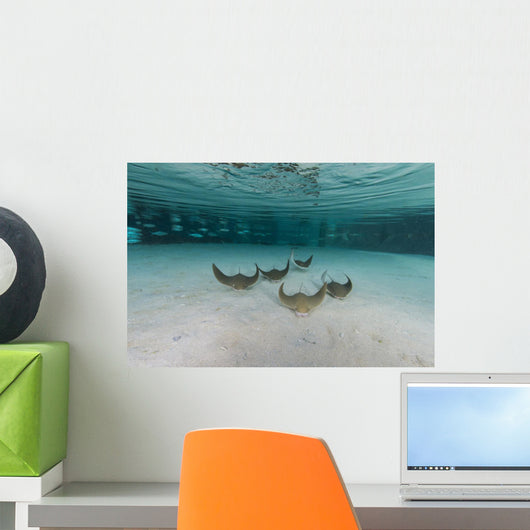 School Cownose Ray Formation Wall Decal