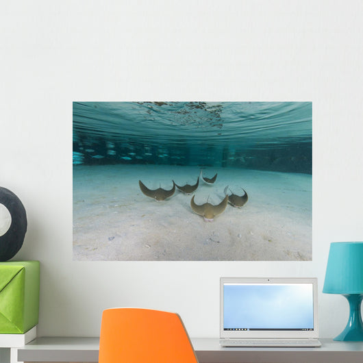 School Cownose Ray Formation Wall Decal