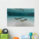 School Cownose Ray Formation Wall Decal