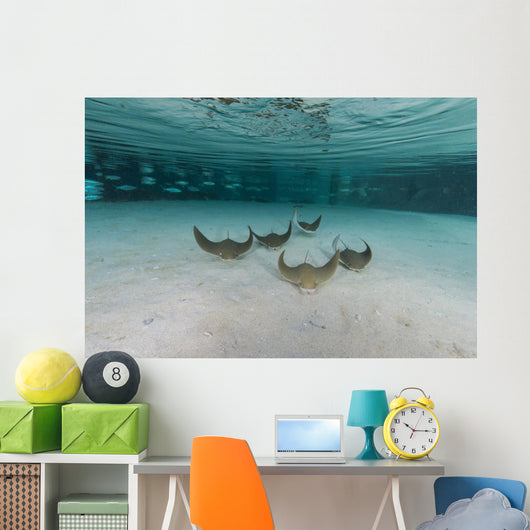 School Cownose Ray Formation Wall Decal
