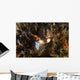 Nembrotha Chamberlaini with Feeding Horizontal Wall Decal