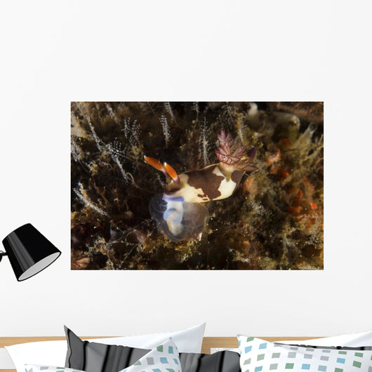 Nembrotha Chamberlaini with Feeding Horizontal Wall Decal
