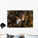 Nembrotha Chamberlaini with Feeding Horizontal Wall Decal
