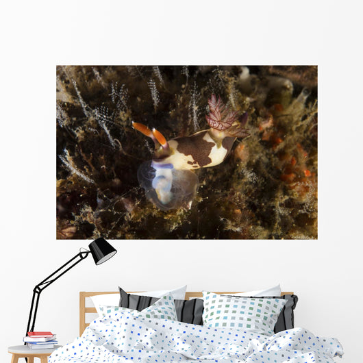 Nembrotha Chamberlaini with Feeding Horizontal Wall Decal