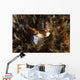 Nembrotha Chamberlaini with Feeding Horizontal Wall Decal