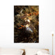 Nembrotha Chamberlaini with Feeding Wall Decal