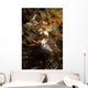 Nembrotha Chamberlaini with Feeding Wall Decal