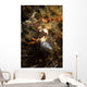 Nembrotha Chamberlaini with Feeding Wall Decal