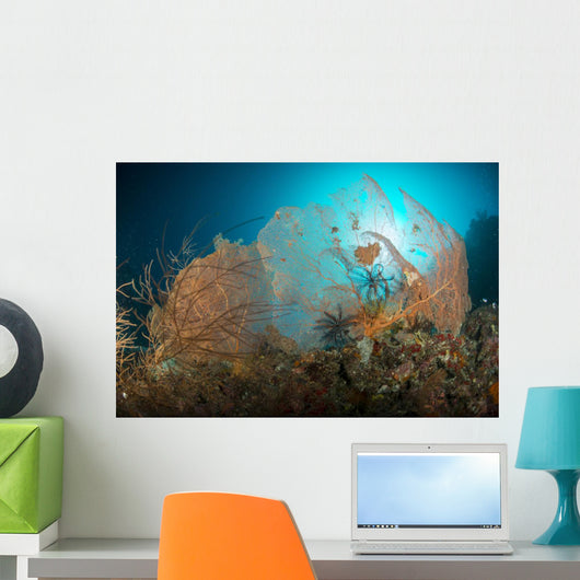 Pair Orange Gorgonian Sea Wall Decal