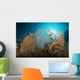 Pair Orange Gorgonian Sea Wall Decal