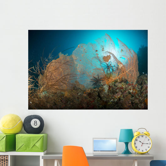 Pair Orange Gorgonian Sea Wall Decal