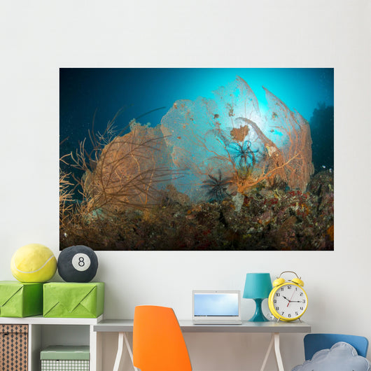 Pair Orange Gorgonian Sea Wall Decal