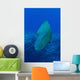 Large Napoleon Wrasse Blue Vertical Wall Decal