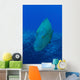 Large Napoleon Wrasse Blue Vertical Wall Decal
