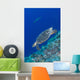 Hawksbill Sea Turtle Edge Wall Decal