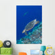 Hawksbill Sea Turtle Edge Wall Decal