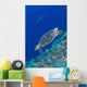 Hawksbill Sea Turtle Edge Wall Decal