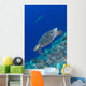 Hawksbill Sea Turtle Edge Wall Decal