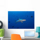 Grey Reef Shark Patrolling Wall Decal
