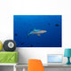 Grey Reef Shark Patrolling Wall Decal