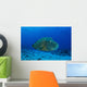 Large Napoleon Wrasse Blue Wall Decal