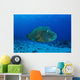 Large Napoleon Wrasse Blue Wall Decal