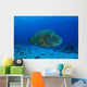 Large Napoleon Wrasse Blue Wall Decal