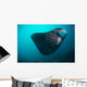 Black-bellied Manta Ray Taking Wall Decal