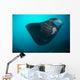 Black-bellied Manta Ray Taking Wall Decal