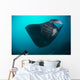 Black-bellied Manta Ray Taking Wall Decal