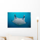White-bellied Giant Oceanic Manta Face Wall Decal