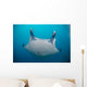 White-bellied Giant Oceanic Manta Face Wall Decal