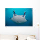 White-bellied Giant Oceanic Manta Face Wall Decal