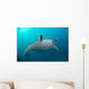 White-bellied Giant Oceanic Manta Wall Decal