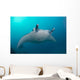 White-bellied Giant Oceanic Manta Wall Decal