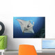 Massive White-bellied Reef Manta Wall Decal