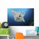Massive White-bellied Reef Manta Wall Decal