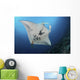 Massive White-bellied Reef Manta Wall Decal