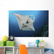 Massive White-bellied Reef Manta Wall Decal