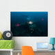 Diver Exploring Wreck Japanese Horizontal Wall Decal