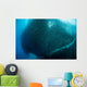 Massive School Millions Sardines Distant Wall Decal