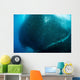 Massive School Millions Sardines Distant Wall Decal