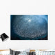 Massive School Millions Sardines Light Wall Decal