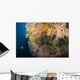 Diver Distance Shining His Wall Decal