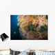 Diver Distance Shining His Wall Decal