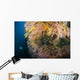 Diver Distance Shining His Wall Decal