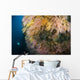 Diver Distance Shining His Wall Decal