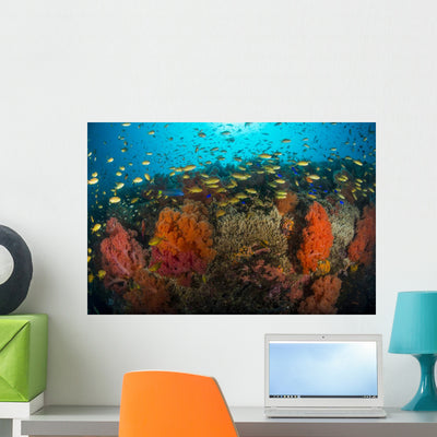 School Anthias Fish Swimming Yellow Wall Decal shown on a wall